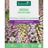 Best BOTANIC® Graines de fleurs de Digitale excelsior variée