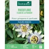 Discount BOTANIC® Graines de fleurs de Passiflore fleur de la passion