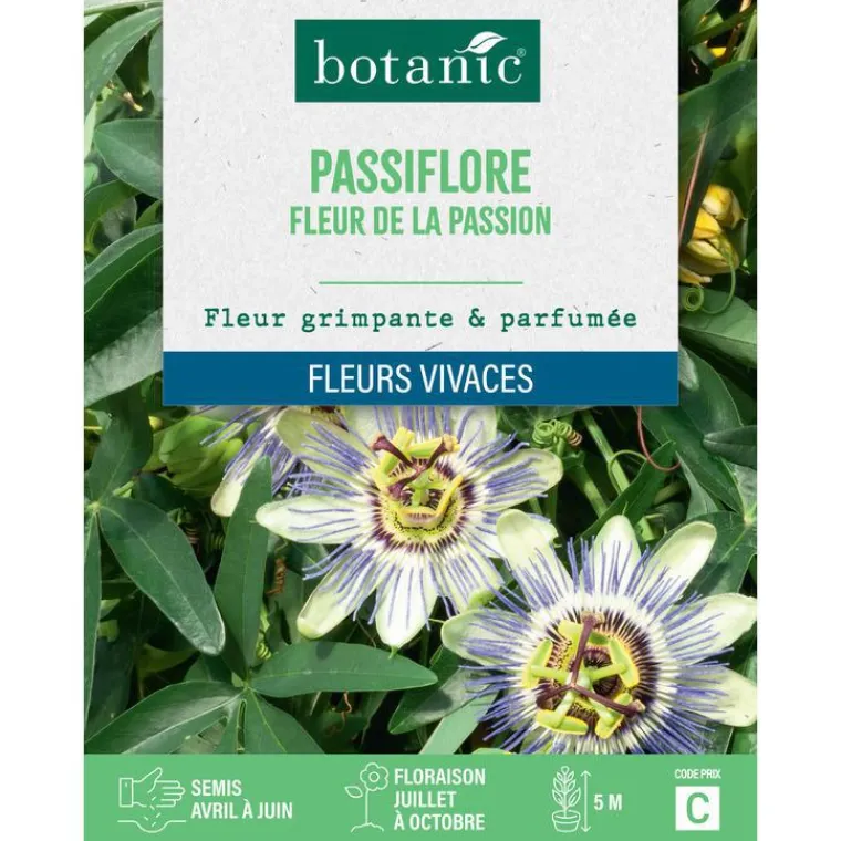 Discount BOTANIC® Graines de fleurs de Passiflore fleur de la passion