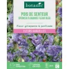 BOTANIC® Graines de fleurs de Pois de senteur spencer à grande fleur bleu