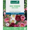 Online BOTANIC® Graines de fleurs de Rose trémière simple variée