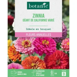 Best BOTANIC® Graines de fleurs de Zinnia géant de californie varié