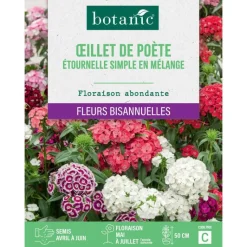 Clearance BOTANIC® Graines de fleurs d'Œillet de poète étournelle simple en mélange