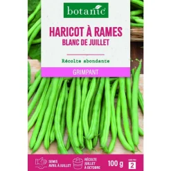 Sale BOTANIC® Graines de haricot à rames blanc de juillet mangetout - graines à semer