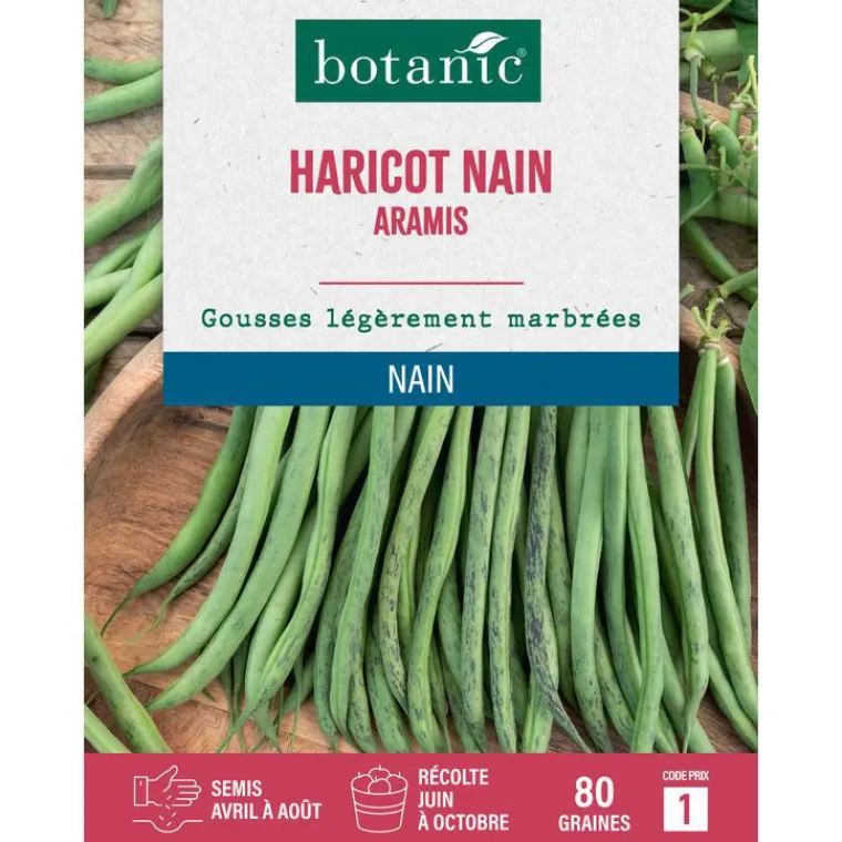 Hot BOTANIC® Graines de haricot nain aramis extra-fin sans fil - 80 graines à semer
