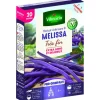Clearance VILMORIN Graines de haricot nain Mélissa - graines à semer