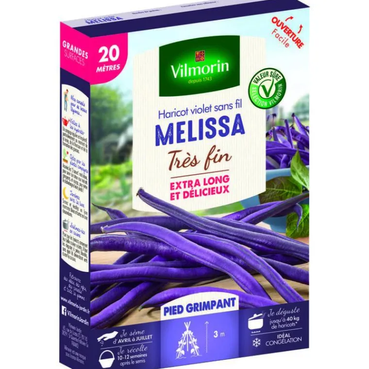 Clearance VILMORIN Graines de haricot nain Mélissa - graines à semer