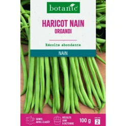 Sale BOTANIC® Graines de haricot nain organdi extra-fin sans fil - graines à semer 100 g