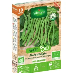 Online VILMORIN Graines de haricot rame Neckarkönigin - graines à semer