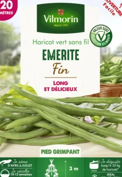 Hot VILMORIN Graines de Haricot vert sans fil Emerite fin - graines à semer