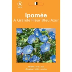 Online NO NAME Graines de Ipomée à grande fleur bleu Azur - graines à semer