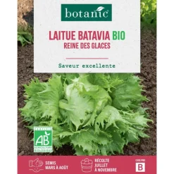 Outlet BOTANIC® Graines de laitue batavia reine des glaces bio - graines batavia semer