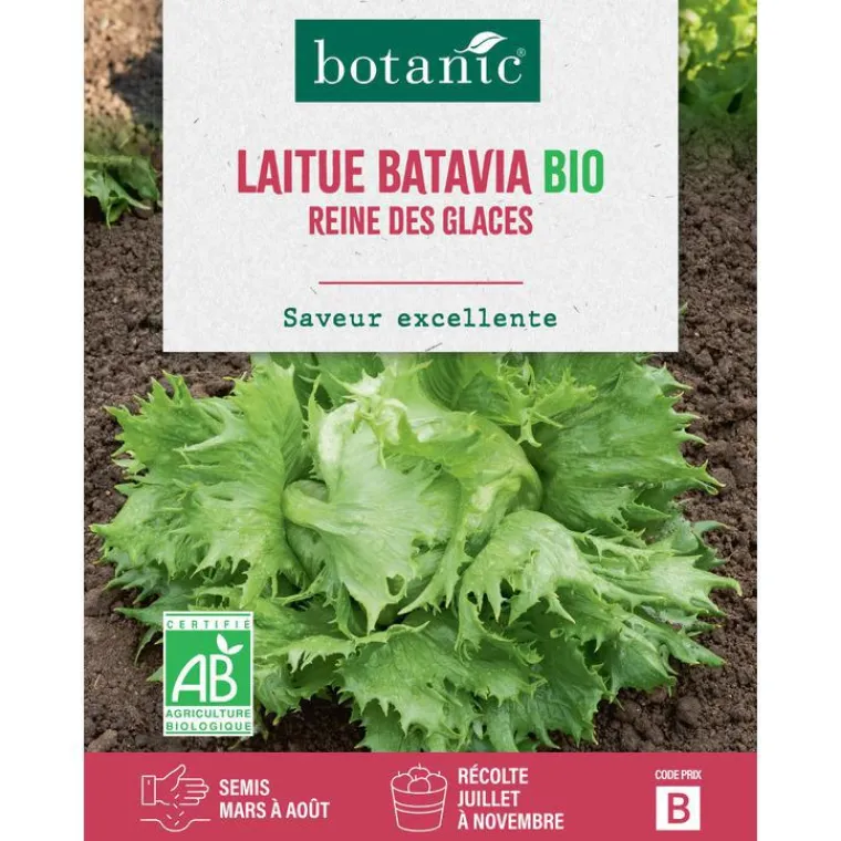 Outlet BOTANIC® Graines de laitue batavia reine des glaces bio - graines batavia semer