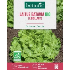 Sale BOTANIC® Graines de laitue batavia la brillante bio - graines batavia semer