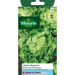 VILMORIN Graines de laitue batavia à dorée printemps - graines à semer