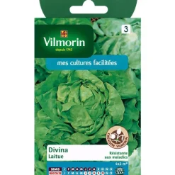 Online VILMORIN Graines de laitue divina - graines à semer