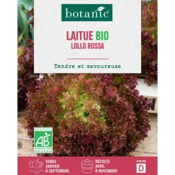 Sale BOTANIC® Graines de laitue lollo rossa bio - graines à semer