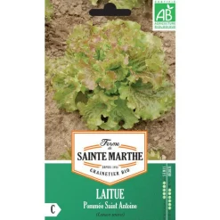 Clearance FERME DE SAINTE MARTHE Graines de Laitue pommée Saint Antoine bio - 500 graines à semer