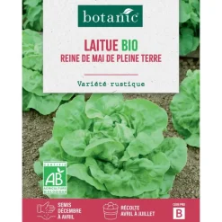 BOTANIC® Graines de laitue reine de Mai de pleine terre bio - graines à semer