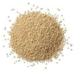 Discount LES ACCENTS DU SOLEIL Graines de lin doré Bio - Prix au kilo