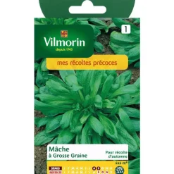 Best VILMORIN Graines de mâche à grosse graine 4 x 4 mètres - graines à semer