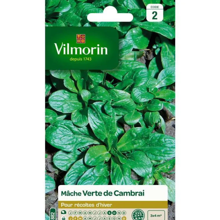 Best VILMORIN Graines de mâche verte de Cambrai - graines à semer