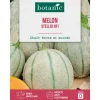 Online BOTANIC® Graines de melon stellio HF1 - graines à semer
