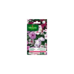 VILMORIN Graines de Pervenche de Madagascar variée - graines à semer