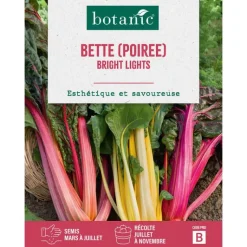 Online BOTANIC® Graines de poirée bright light insolite - graines à semer