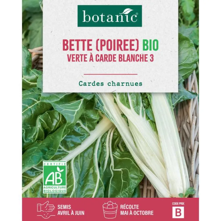 Hot BOTANIC® Graines de poirée verte à carde blanche 3 bio - graines à semer