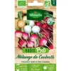 Sale VILMORIN Graines de radis mélange de couleurs bio - graines à semer