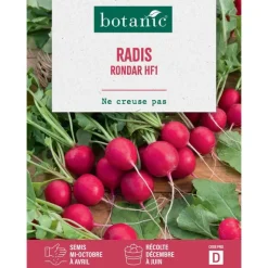 Best BOTANIC® Graines de radis rondar HF1 - graines à semer