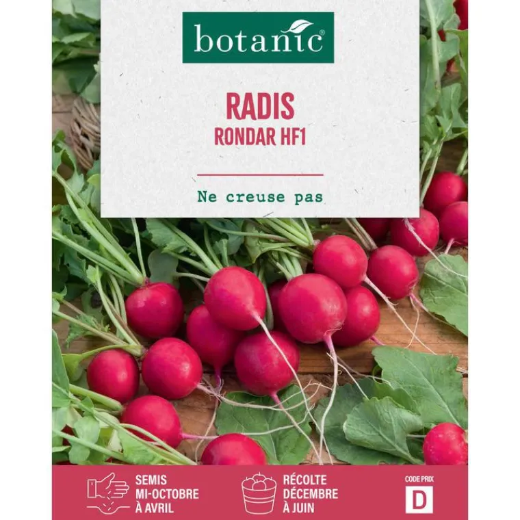 Best BOTANIC® Graines de radis rondar HF1 - graines à semer