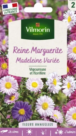 New VILMORIN Graines de Reine Marguerite Madeleine variée - graines à semer