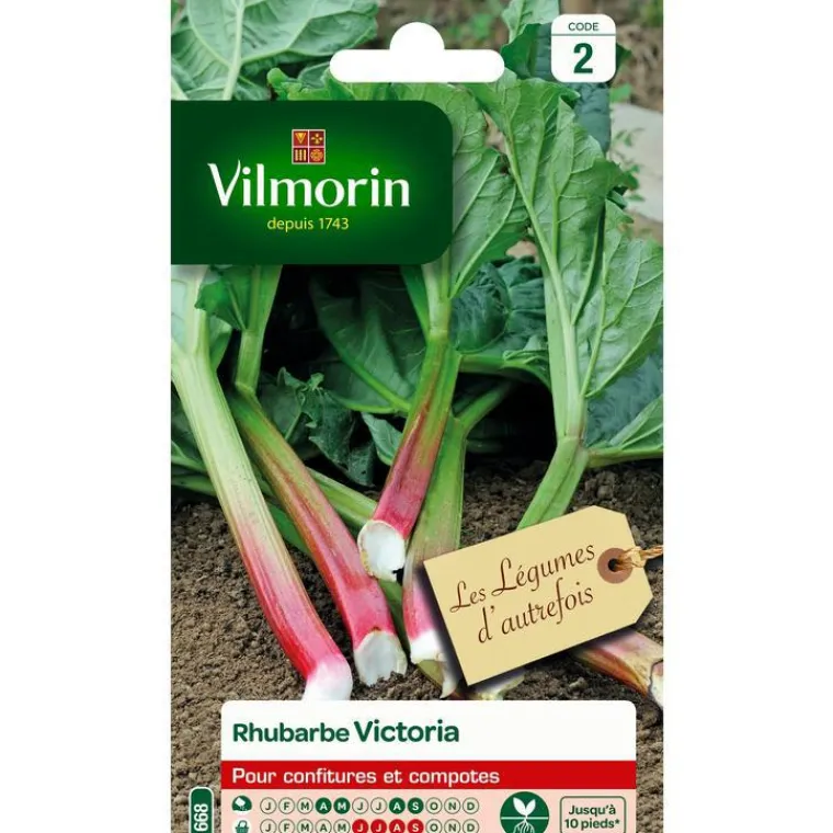 Best VILMORIN Graines de rhubarbe Victoria - graines à semer