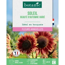 Sale BOTANIC® Graines de soleil beauté d'automne varié - graines à semer