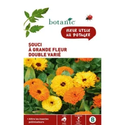 Best BOTANIC® Graines de souci à grande fleur double varié - graines à semer
