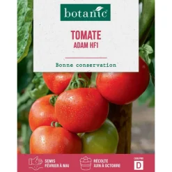 Sale BOTANIC® Graines de tomate adam hybride f1 - graines Adam semer