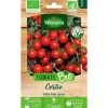 Online VILMORIN Graines de tomate cerise bio - graines à semer