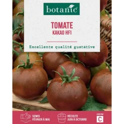 Clearance BOTANIC® Graines de tomate kakao HF1 - graines à semer