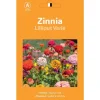 Online NO NAME Graines de Zinnia Lilliput varié - graines à semer