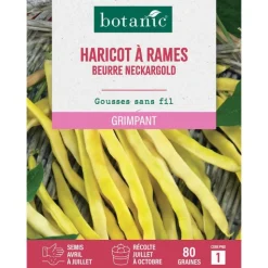 New BOTANIC® Graines d'haricot à rames beurre neckargold - graines à semer