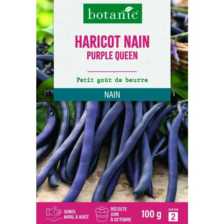 Clearance BOTANIC® Graines d'haricot nain purple queen - graines à semer 100 g