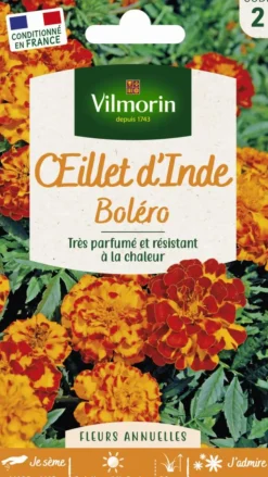 Clearance VILMORIN Graines d’œillet d’Inde Bolero - graines à semer
