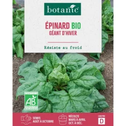 Clearance BOTANIC® Graines d'épinard géant d'hiver bio - graines à semer
