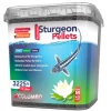 Discount BLUE CORAL Granulés nourriture esturgeon 6mm, 3225g - COLOMBO BASSIN - modèle M - 5L