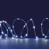 Clearance BLACHÈRE ILLUMINATION Guirlande lumineuse à 60 micro-LED blanc froid et câble argent sur piles - 6 m
