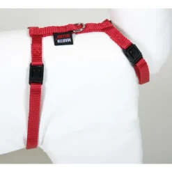New MARTIN SELLIER Harnais chat nylon rouge 1-35/50 cm