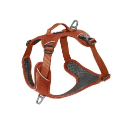 Sale KYFLIE Harnais Momentum Taille 3 Circonférence cage thoracique 53-67cm Cuivre