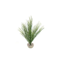 Sale LABEO Herbe corail verte en plastique moyen modèle 22 cm